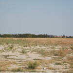 SDC 0050 SCIENTIFIC PUBLICATION ON THE BULLETIN OF THE ITALIAN BOTANICAL SOCIETY ECOSISTEMI