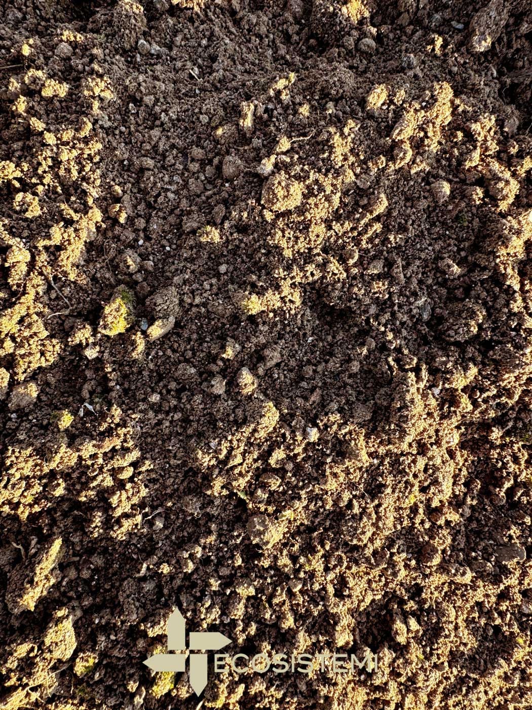 Reconstituted tilled soil surface Ecosistemi scaled 1600 Surface-soil-reconstituted-worked-Ecosistemi-scaled-1600 SURFACE WORKING ON SOIL RECONSTRUCTED IN BORGOTREBBIA (PC) Reconstituted tilled soil surface Ecosistemi scaled 1600 Surface-soil-reconstituted-worked-Ecosistemi-scaled-1600 ECOSISTEMI