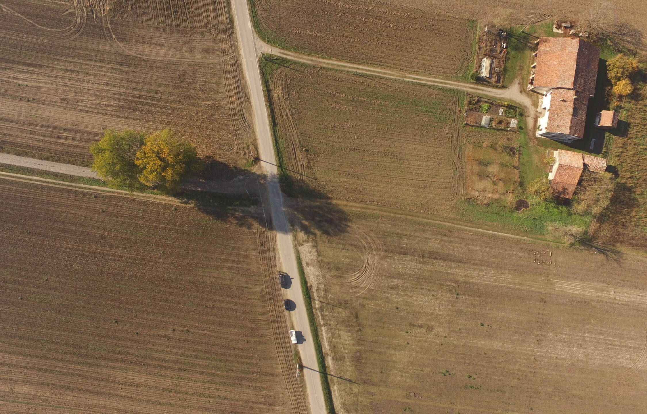 DJI 0290 scaled uai ECOSISTEMI SU TERRA E VITA ECOSISTEMI