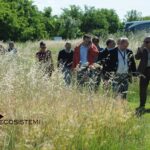 Visita sito Borgotrebbia Piacenza Ecosistemi 1 scaled 1600 ARTICOLO SUL CONVEGNO NEWLIFE DEL QUOTIDIANO LIBERTÀ DI PIACENZA ECOSISTEMI