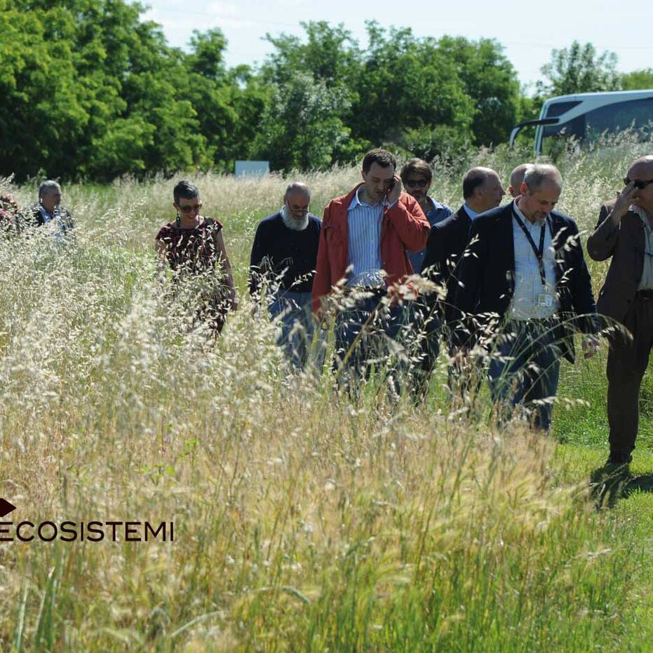 Посетите сайт Borgotrebbia Piacenza Ecosistemi 1 масштабированная 1600 uai СТАТЬЯ НА КОНФЕРЕНЦИИ НОВОЙ ЖИЗНИ ЕЖЕДНЕВНОЙ СВОБОДЫ ЭКОСИСТЕМ УДОВОЛЬСТВИЯ