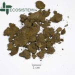 Analisi terreni agrari Laboratorio Analisi Piacenza scaled 1600 INCREMENTO DELLA PRODUTTIVITÀ E CONSERVAZIONE DELLA SOSTANZA ORGANICA ECOSISTEMI