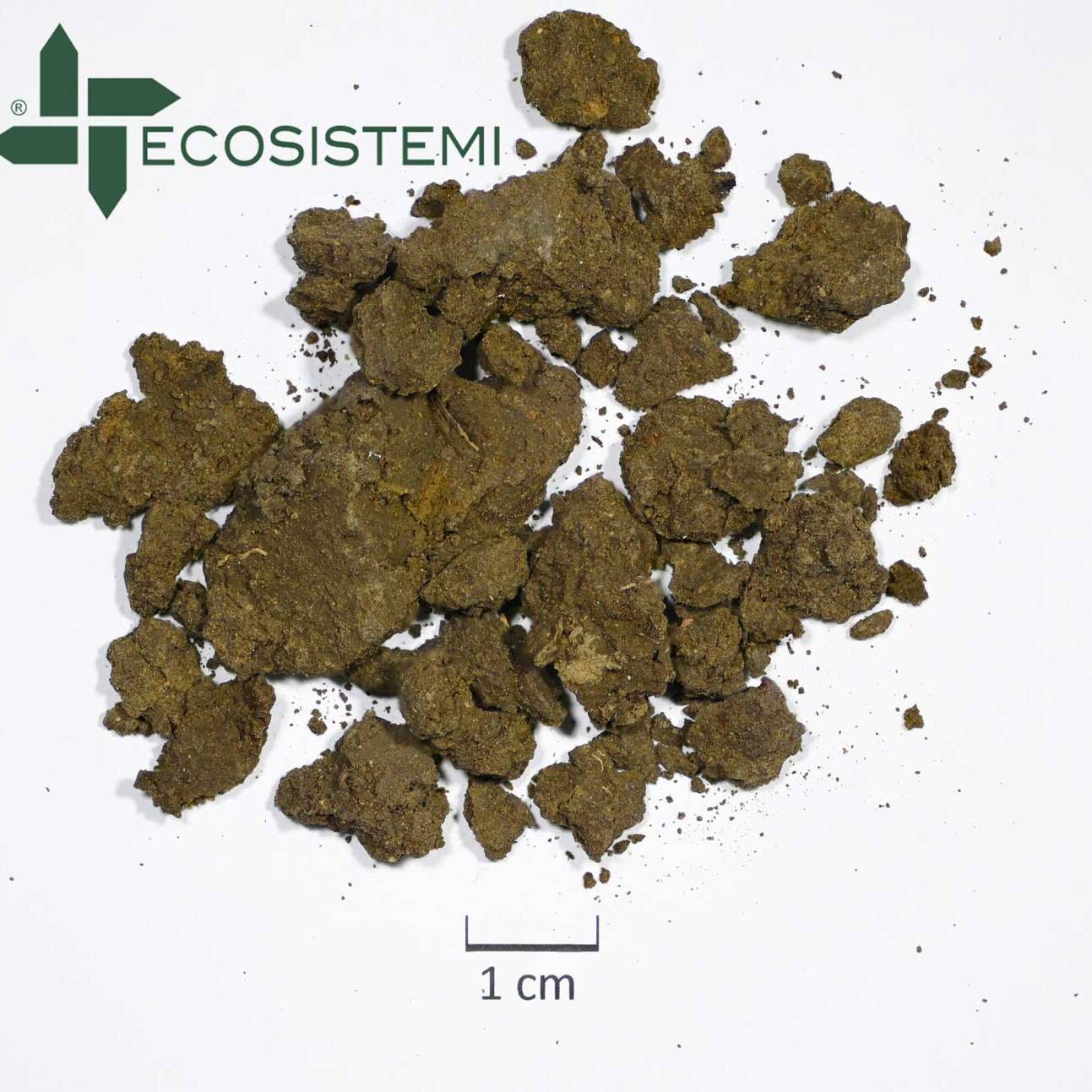 Analisi terreni agrari Laboratorio Analisi Piacenza scaled 1600 uai INCREMENTO DELLA PRODUTTIVITÀ E CONSERVAZIONE DELLA SOSTANZA ORGANICA ECOSISTEMI