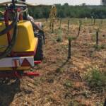 IMG 7229 OPERE DI MANUTENZIONE NELL'AREA NEWLIFE BORGOTREBBIA PIACENZA ECOSISTEMI