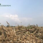 Suolo ricostituito Ecosistemi Piacenza cantieri scaled 1600 LAVORAZIONI AGRICOLE SUI SUOLI RICOSTITUITI (PIACENZA - LOC. CASANOVA LODIGIANI) ECOSISTEMI
