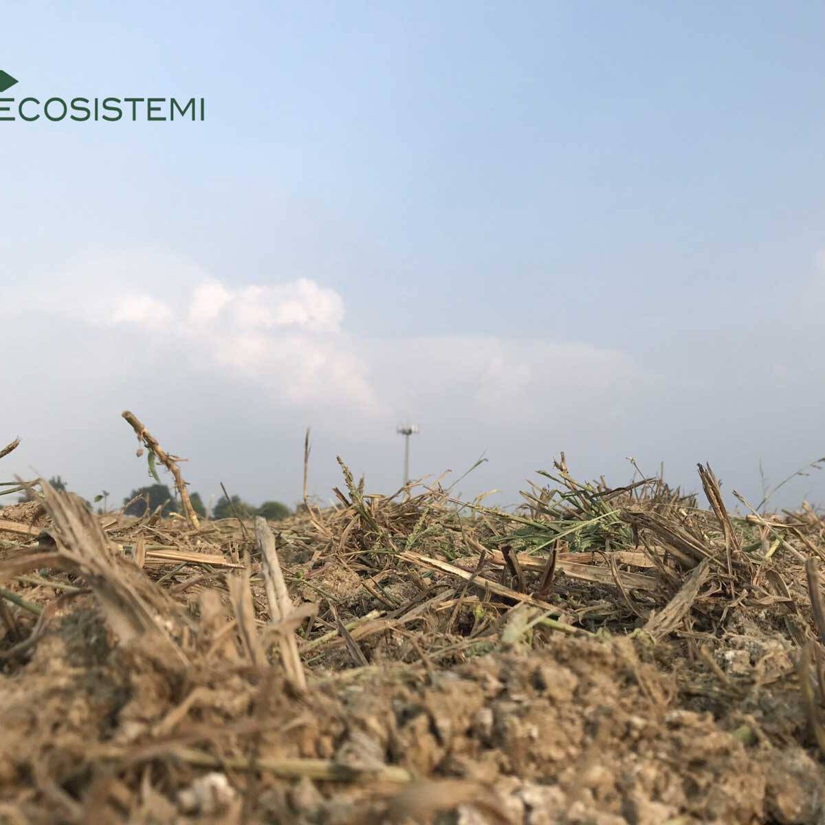Reconstituted soil Ecosistemi Piacenza yards scaled 1600 uai AGRICULTURAL PROCESSING ON RECONSTRUCTED SOILS (PIACENZA - LOC. CASANOVA LODIGIANI) ECOSISTEMI