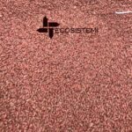 Laboratorio analisi Ecosistemi Piacenza prove agronomiche scaled 1600 SEMINA FRUMENTO SU SUOLI RICOSTITUITI NEL RIPRISTINO AGRONOMICO (CASANOVA LODIGIANI) ECOSISTEMI