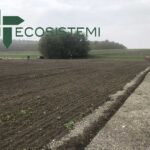 Semina su suoli ricostituiti 1 scaled 1600 LAVORAZIONI SUI SUOLI RICOSTITUITI A POCHI MESI DAL LORO COLLOCAMENTO E SEMINA FRUMENTO. LOCALITÀ BOSCO PONTONE (PIACENZA) ECOSISTEMI