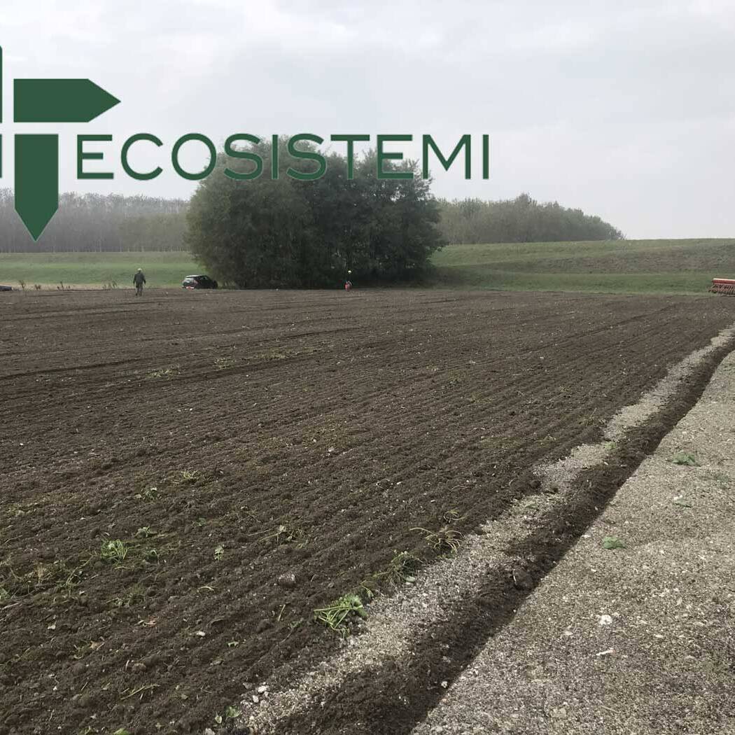 Sow on reconstituted soils 1 scaled 1600 uai PROCESSING ON SOIL RECONSTRUCTED AT A FEW MONTHS FROM THEIR PLACEMENT AND SEED WHEAT. LOCATION BOSCO PONTONE (PIACENZA) ECOSISTEMI
