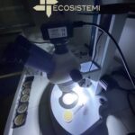 Analisi amianto crocidolite crisotilo laboratorio Ecosistemi Piacenza scaled 1600 DETERMINAZIONE AMIANTO MEDIANTE TECNICA MOLP ECOSISTEMI