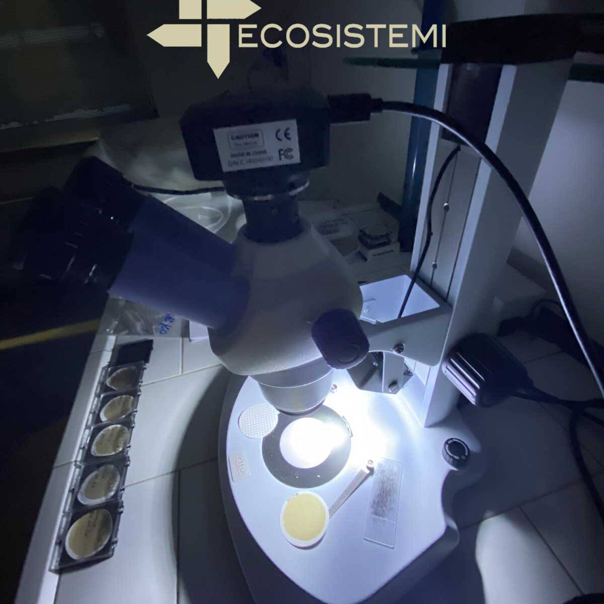 Analisi amianto crocidolite crisotilo laboratorio Ecosistemi Piacenza scaled 1600 uai DETERMINAZIONE AMIANTO MEDIANTE TECNICA MOLP ECOSISTEMI