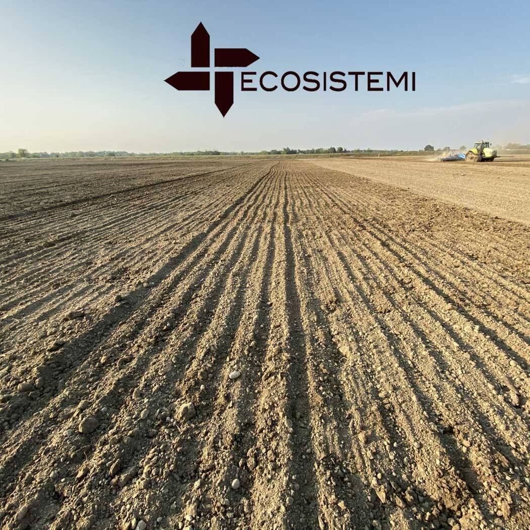 Laboratory Fertilized Agricultural Land Analysis Ecosistemi Piacenza scaled 1600 uai ANALYTICAL CONTROLS ON THE AREA OF BOSCO PONTONE ECOSISTEMI