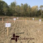 Laboratorio analisi pedotecnologia Ecosistemi fangh dragaggio Piacenza scaled 1600 STAZIONE SPERIMENTALE ECOSISTEMI PER LO STUDIO DEI SUOLI RICOSTITUITI E NATURALI ECOSISTEMI