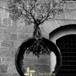 Ecosistemi Piacenza Accademia Georgofili Firenze scaled 1600 FIRENZE (ACCADEMIA DEI GEORGOFILI) PRESENTAZIONE DELLA TECNOLOGIA DELLA RICOSTITUZIONE ALLA GIORNATA MONDIALE DEL SUOLO ECOSISTEMI