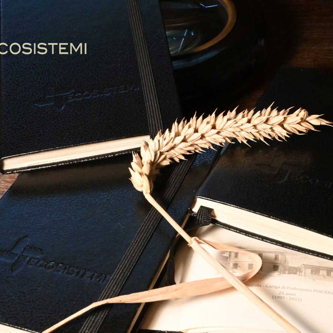Taccuini Ecosistemi Piacenza Gariga Podenzano scaled 1600 uai IN OCCASIONE DEI 25 ANNI DELLA SOCIETÀ SONO STATI CREATI TACCUINI PER I CLIENTI, I COMPONENTI E I COLLABORATORI DI ECOSISTEMI ECOSISTEMI