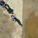 0a2e725f 0556 4fc3 8254 9d46ad64bdc6 PRIMI RILIEVI DA DRONE SUI LOTTI SPERIMENTALI ECOSISTEMI