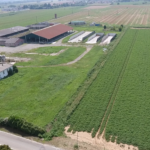 Cattura Fertilia ACQUISIZIONE DI 39 HA DA PARTE DELLA SOCIETÀ AGRICOLA FERTILIA SRL ECOSISTEMI