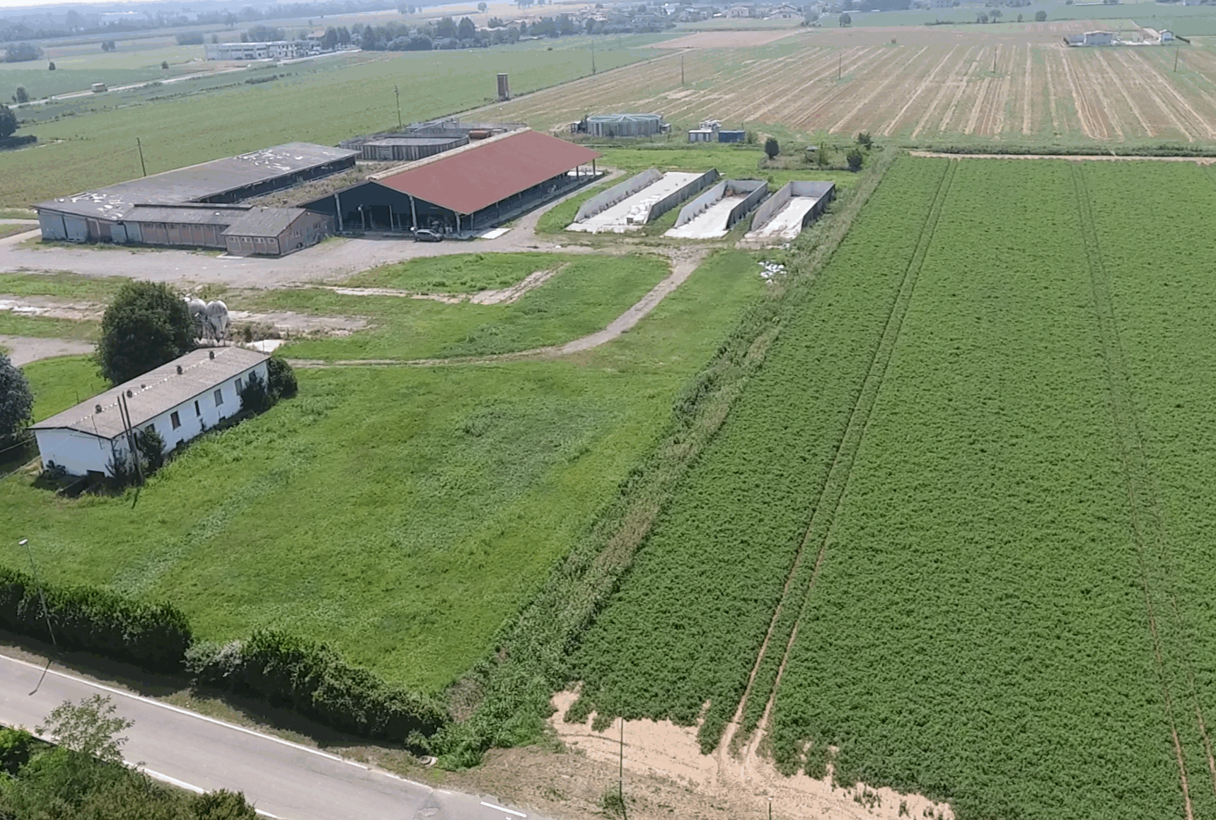 Cattura Fertilia scaled uai ACQUISIZIONE DI 39 HA DA PARTE DELLA SOCIETÀ AGRICOLA FERTILIA SRL ECOSISTEMI
