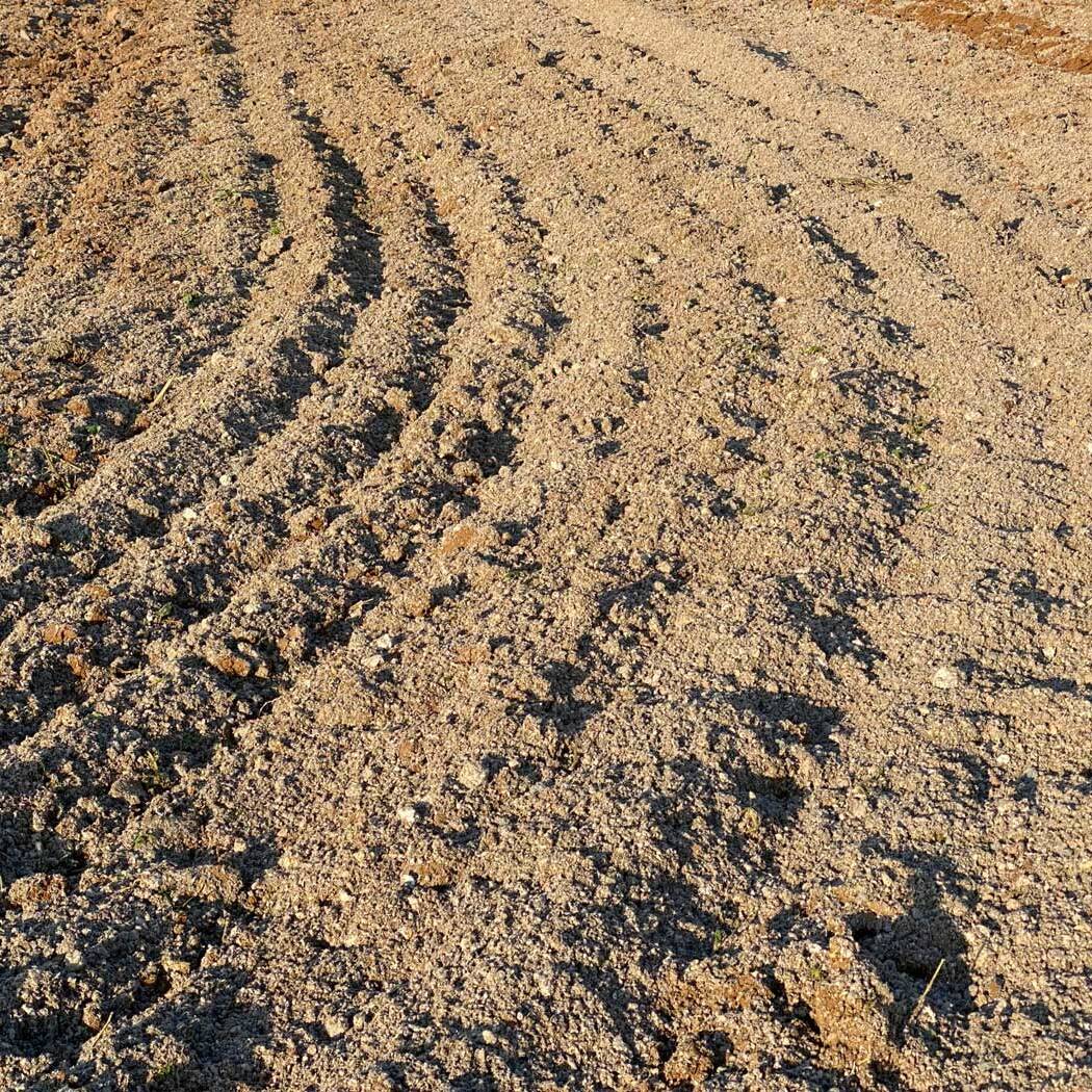 Disconature matrici secondarie IV Dallarda 20 11 23 scaled 1600 uai SPERIMENTAZIONE DI UNA NUOVA PEDOTECNICA DI TRATTAMENTO DEI SUOLI, LA RICOSTITUZIONE IN SITU, NELL’AZIENDA AGRICOLA SPERIMENTALE DI ECOSISTEMI PER IL MIGLIORAMENTO DELLA FERTILITÀ FISICA DEI SUOLI LIMOSI ECOSISTEMI