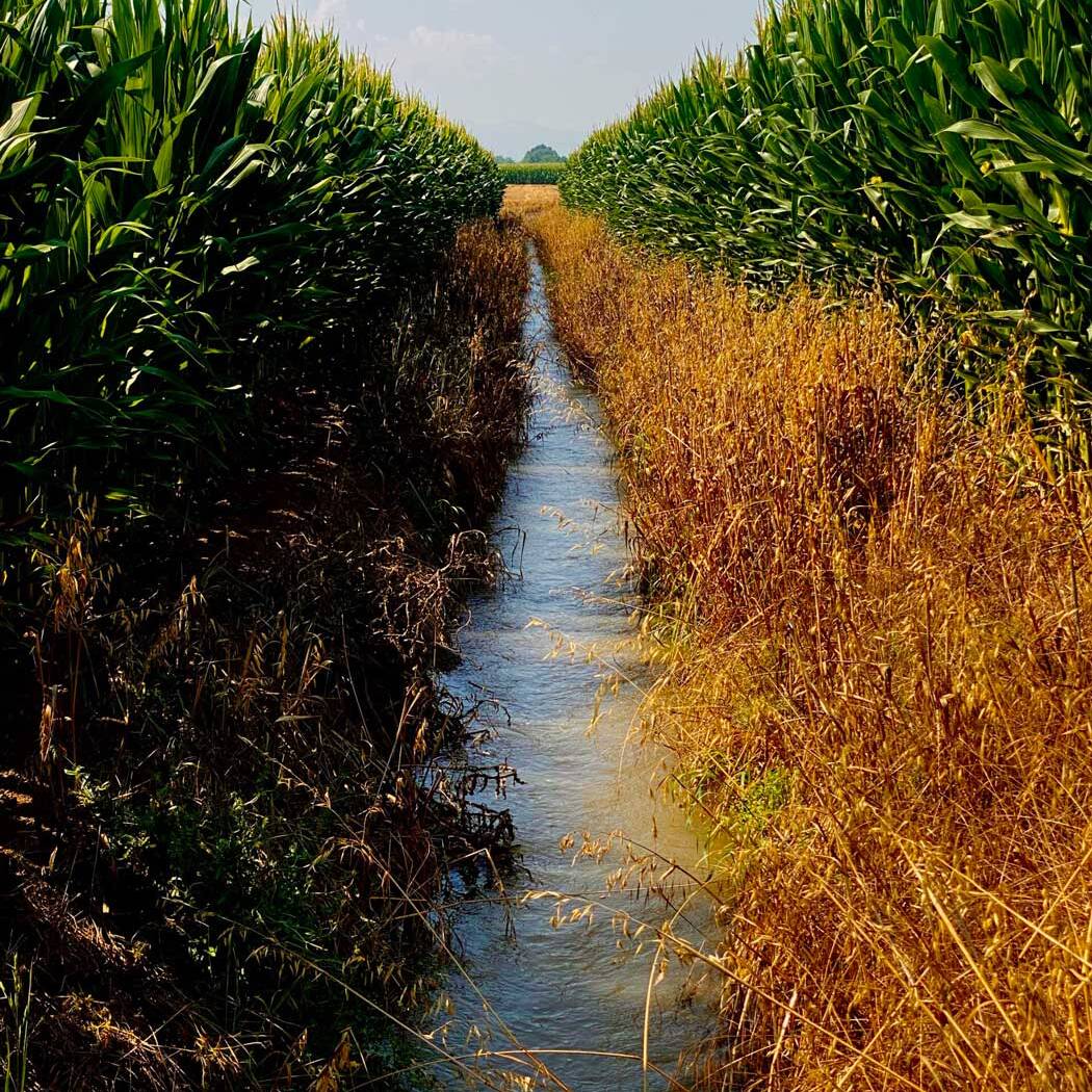 IMG 3710 scaled 1600 uai ECOSISTEMI E FERTILIA SONO FRA I SOGGETTI ADERENTI AL LIVING LAB "MODELLI INNOVATIVI E SOSTENIBILI DI GESTIONE DEI SUOLI AGRICOLI" ECOSISTEMI