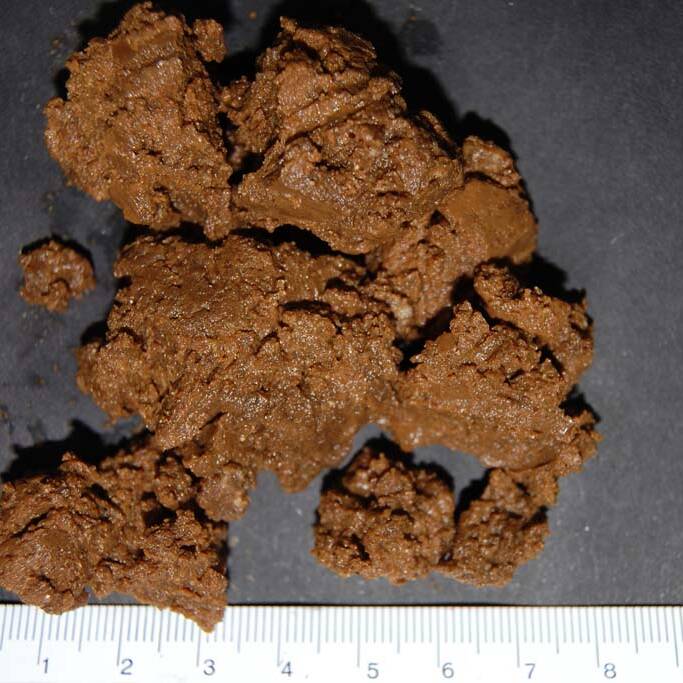 Circular economy economia circolare pedomateriali pedomaterial Педотехнологии 3 uai Circular economy economia circolare pedomateriali pedomaterial Педотехнологии 3 ECOSISTEMI Finanziamento UE New Life