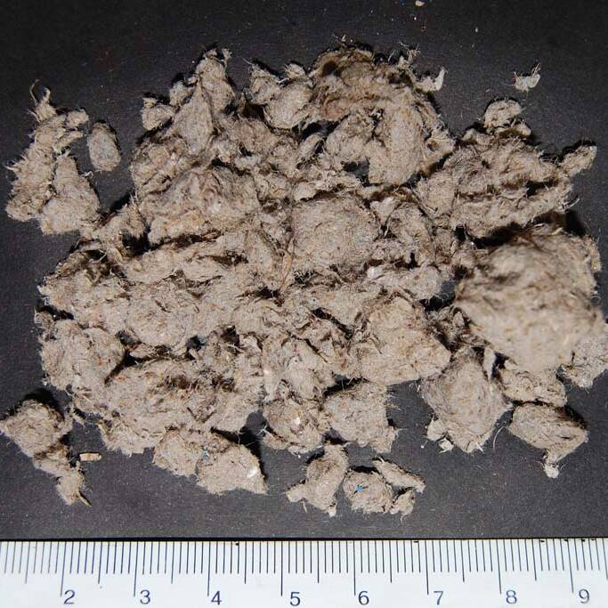 Circular economy economia circolare pedomateriali pedomaterial Педотехнологии 4 uai Circular economy economia circolare pedomateriali pedomaterial Педотехнологии 4 ECOSISTEMI Finanziamento UE New Life