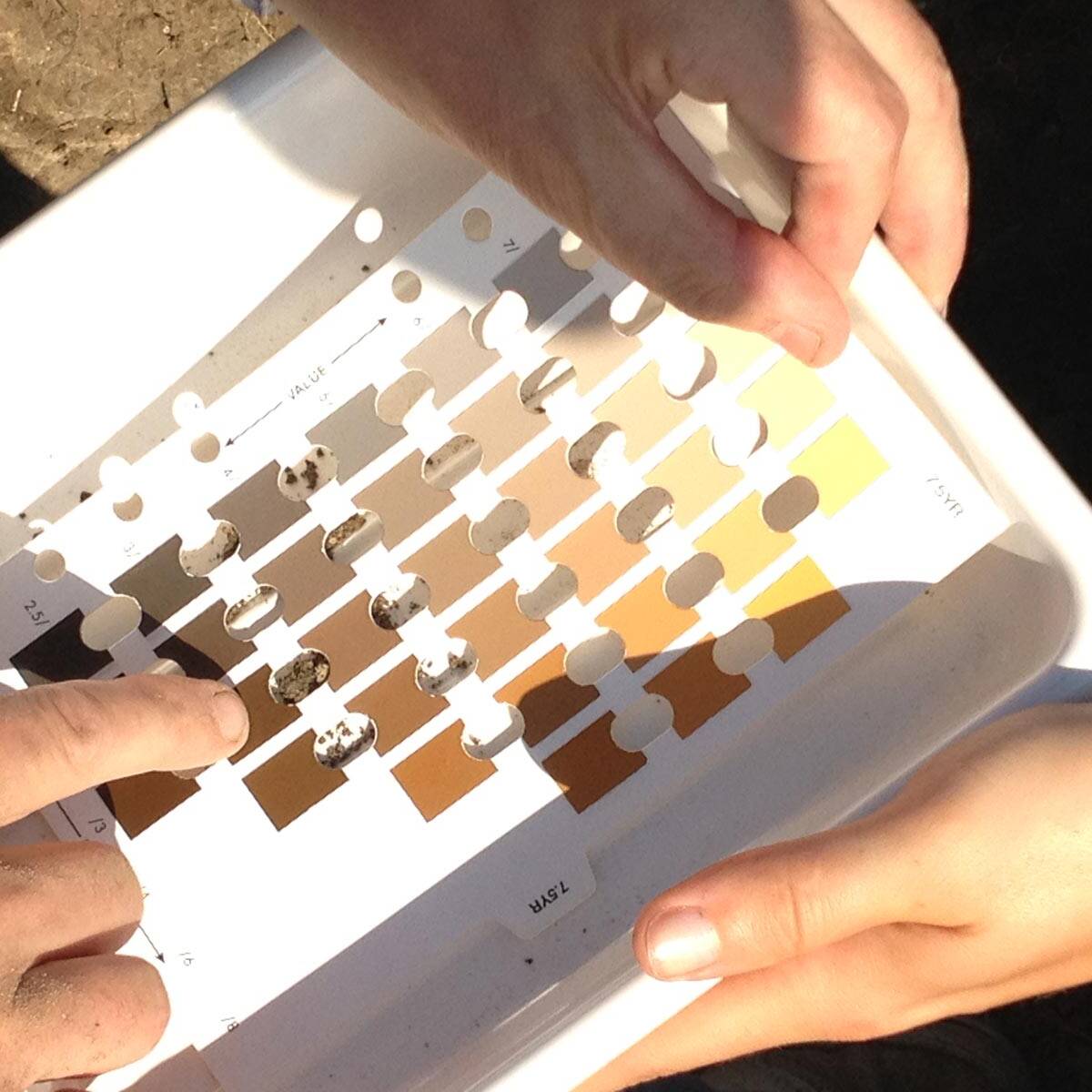 Colore suoli soil color pedologia pedology Piacenza ربة Земля uai Colore-suoli-soil-color-pedologia-pedology-Piacenza-ربة-Земля ECOSISTEMI Finanziamento UE New Life