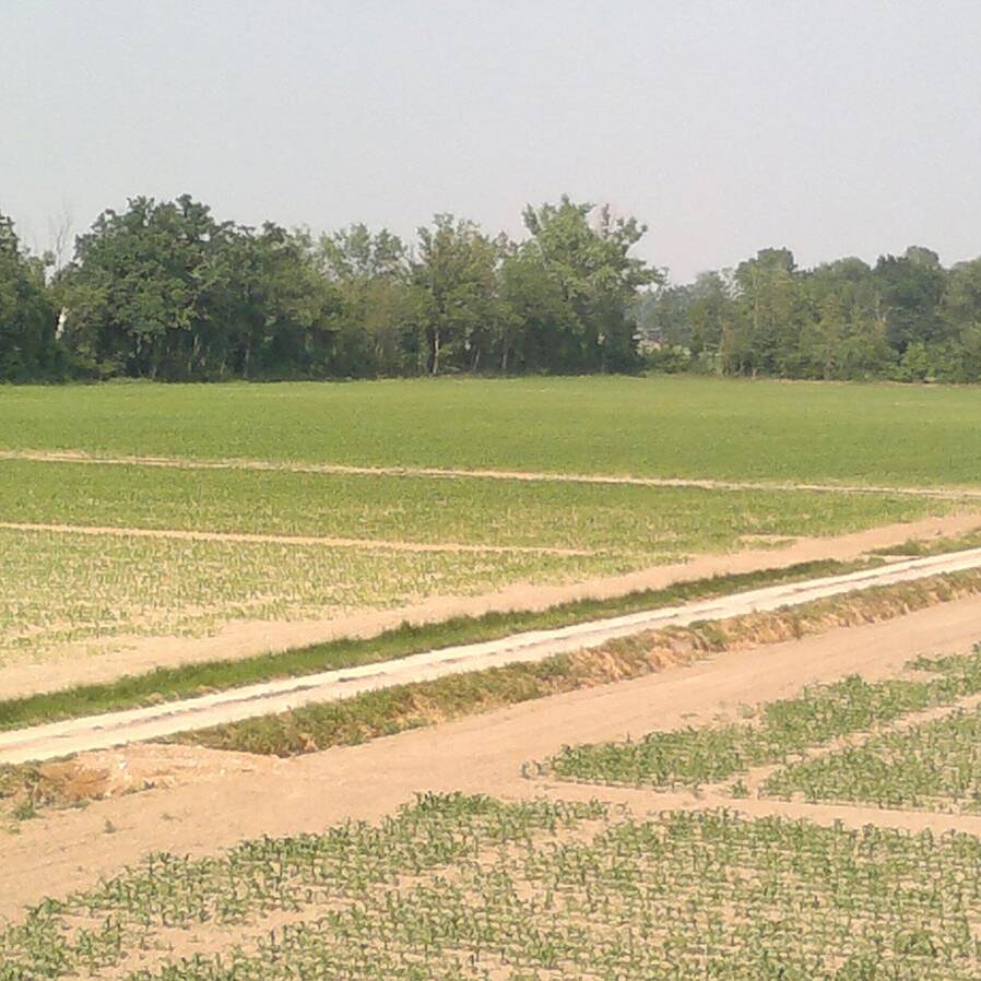 Degraded soils restoration ripristini suoli degradati uai Degraded-soils-restoration-ripristini-suoli-degradati ECOSISTEMI