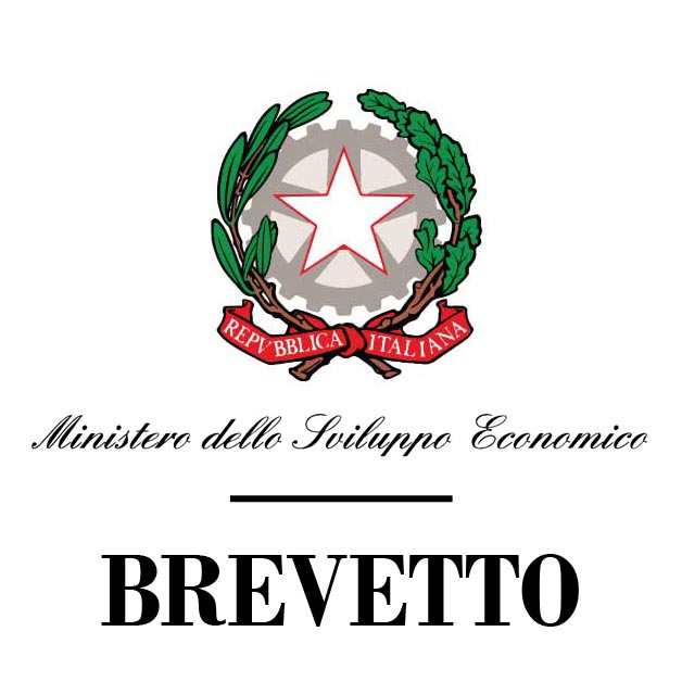Logo Mise brevetto Logo-Mise-brevetto 6. Finanziamento Regione ER – II° Brevetto 2009 – 2010 brevetto Logo Mise brevetto Logo-Mise-brevetto ECOSISTEMI brevetto