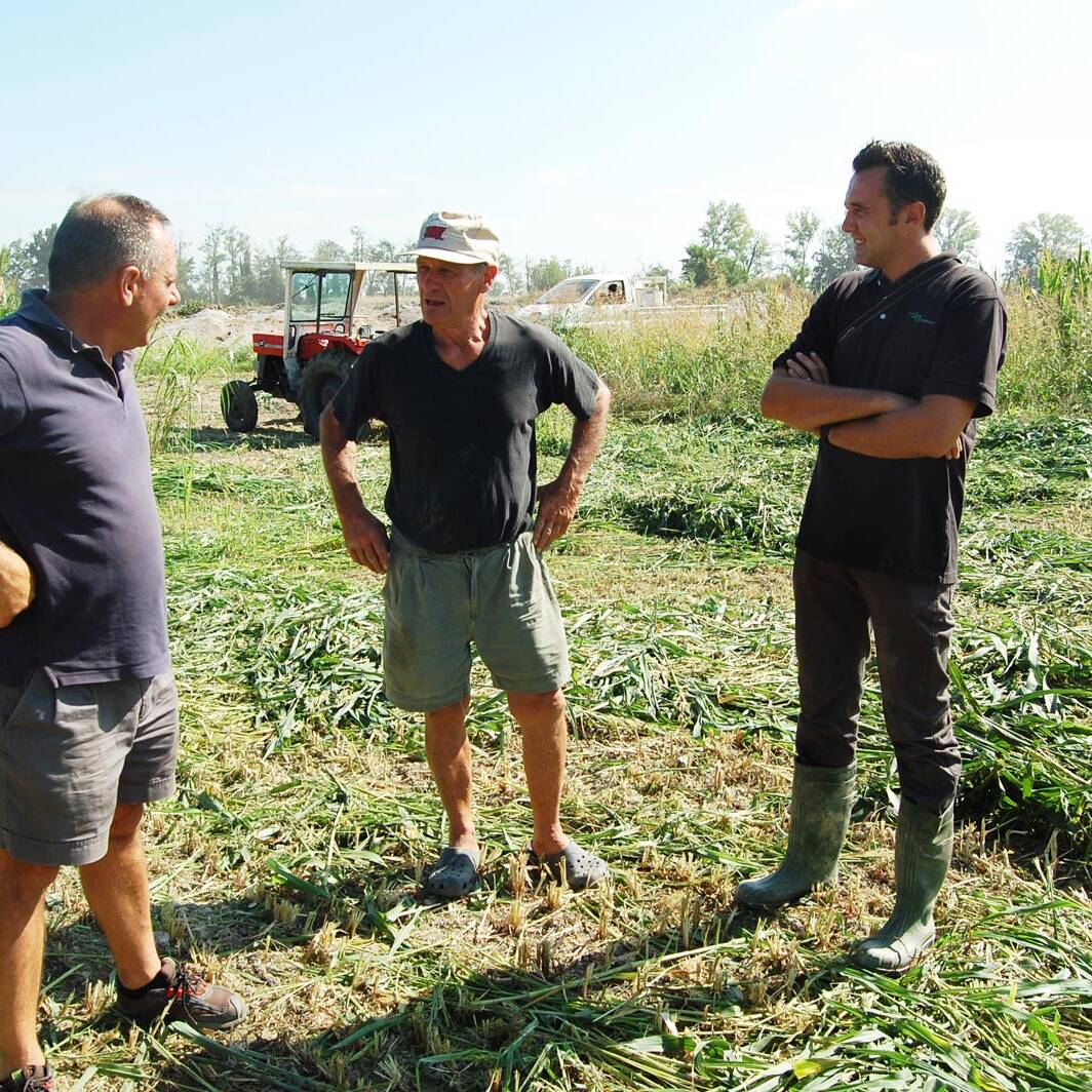 Luigi Vercesi Andrea Bosoni Maloberti uai Luigi--Vercesi-Andrea-Bosoni-Maloberti ECOSISTEMI