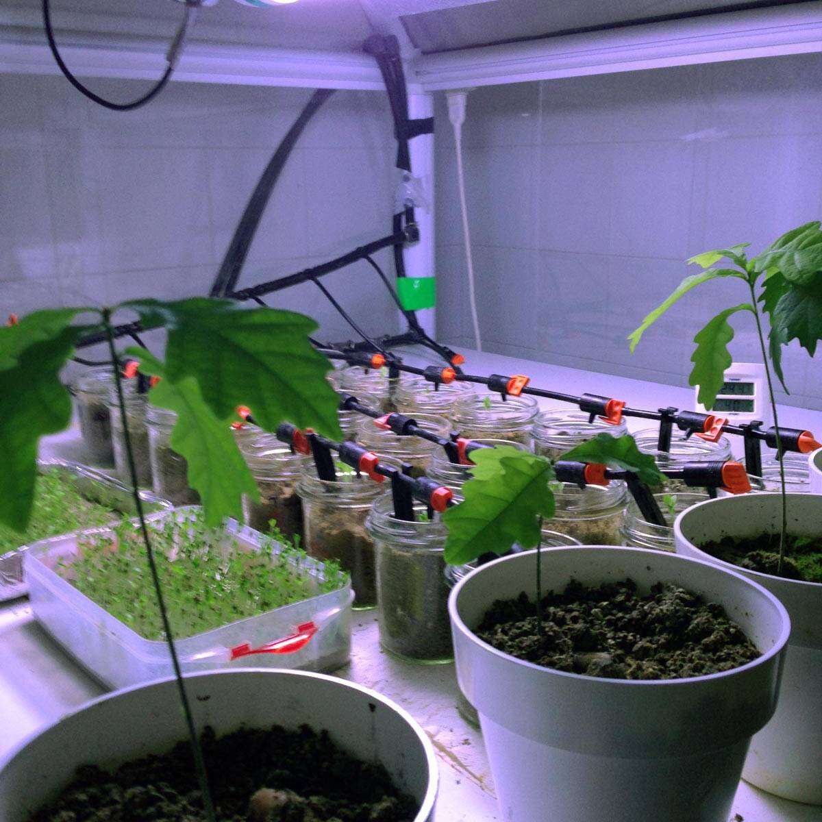 Mcm Ecosistemi laboratorio analisi test crescita growth uai Mcm-Ecosistemi-laboratorio-analisi-test-crescita-growth ECOSISTEMI Storia della ricostituzione,suoli