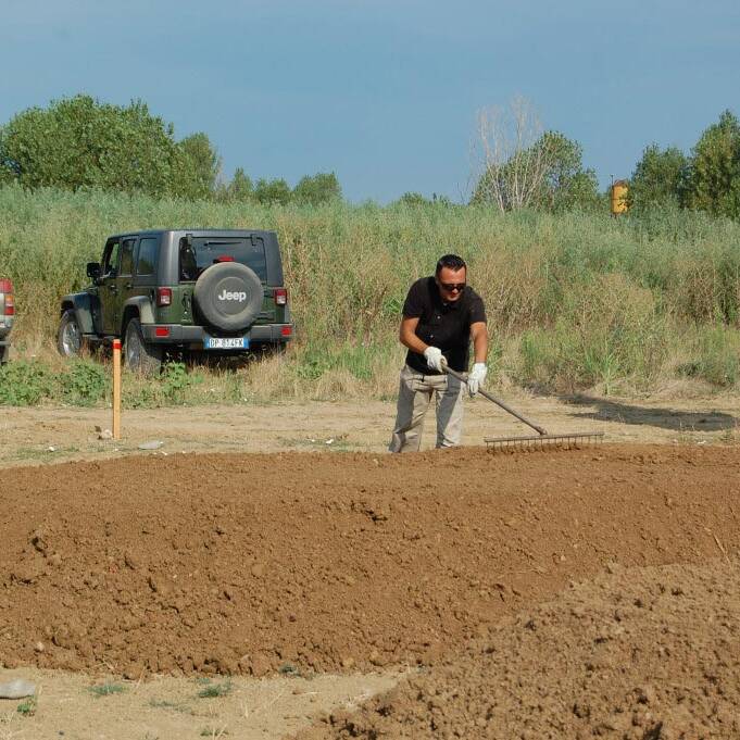 Parcelle sperimentali mcm Ecosistemi soil reconstituited test uai Parcelle-sperimentali-mcm-Ecosistemi-soil-reconstituited-test ECOSISTEMI brevetto