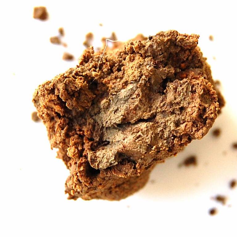 Soil organic carbon carbonio organico suolo uai Soil-organic-carbon-carbonio-organico-suolo 3. Prove – studio norme tecniche e legislative 2004 – 2005 Soil organic carbon carbonio organico suolo uai Soil-organic-carbon-carbonio-organico-suolo ECOSISTEMI