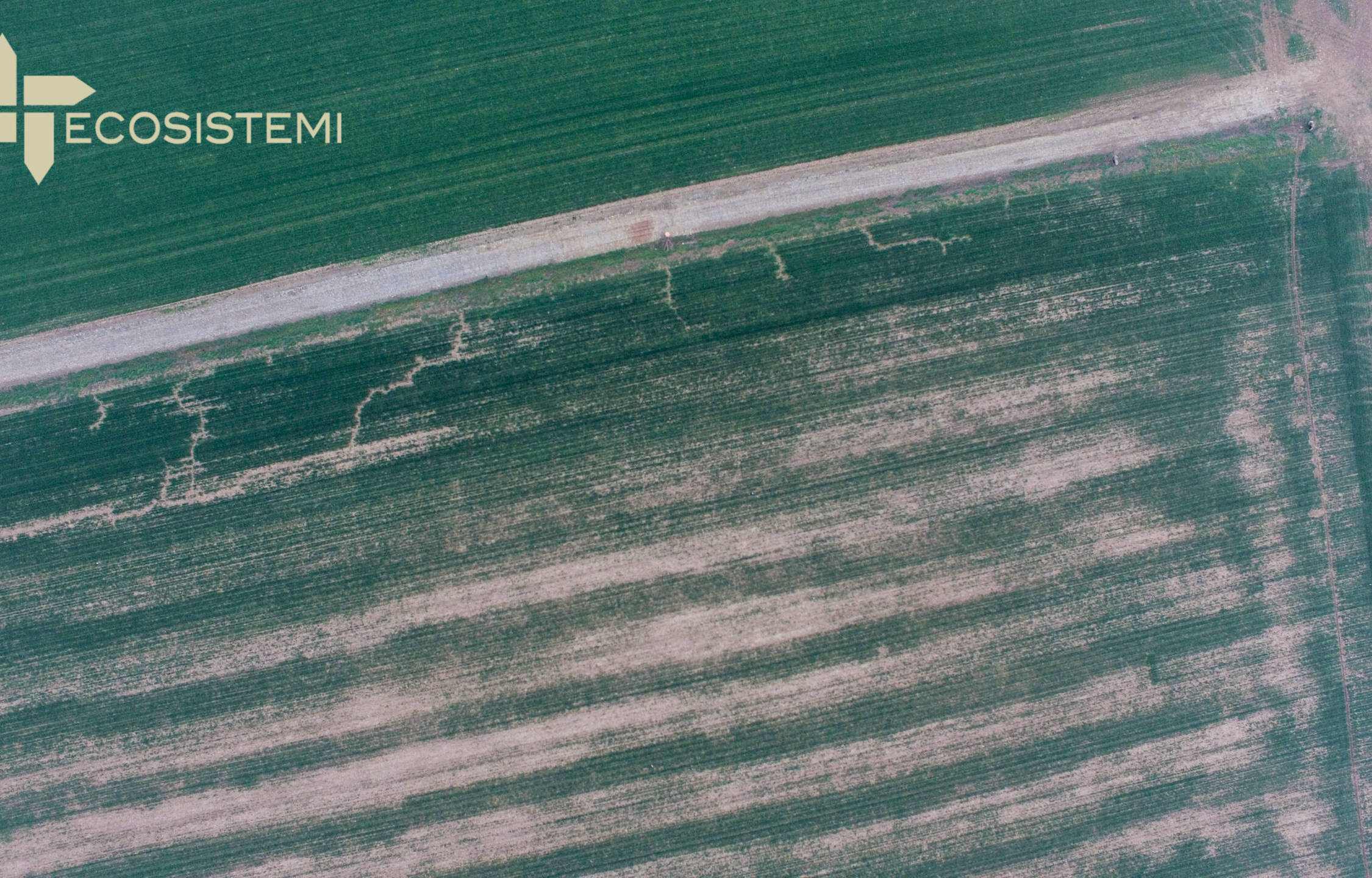 1 Ecosistemi Piano Caratterizzazione Agronomica Piacenza scaled uai NUOVO INTERVENTO DI RIPRISTINO AGRONOMICO E DI MIGLIORAMENTO DEI SUOLI ECOSISTEMI
