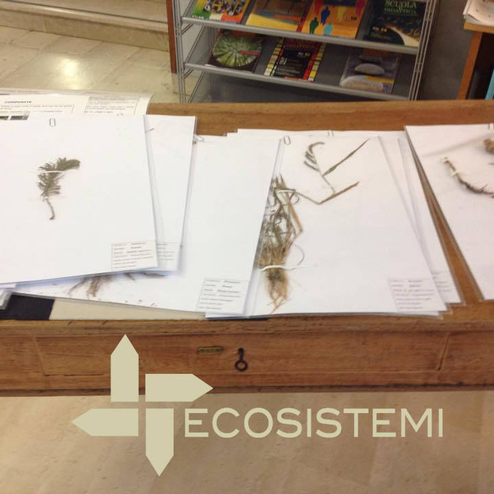 1 Esposizione Erbario Ecosistemi Piacenza uai DIDATTICA AMBIENTALE SULLE TERRE RICOSTITUITE ECOSISTEMI