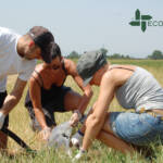 1 Prelievi suolo Ecosistemi laboratorio analisi CAMPAGNA PRELIEVI PER CARATTERIZZAZIONE SITO BORGOTREBBIA – CAMPO SANTO VECCHIO (PC) ECOSISTEMI