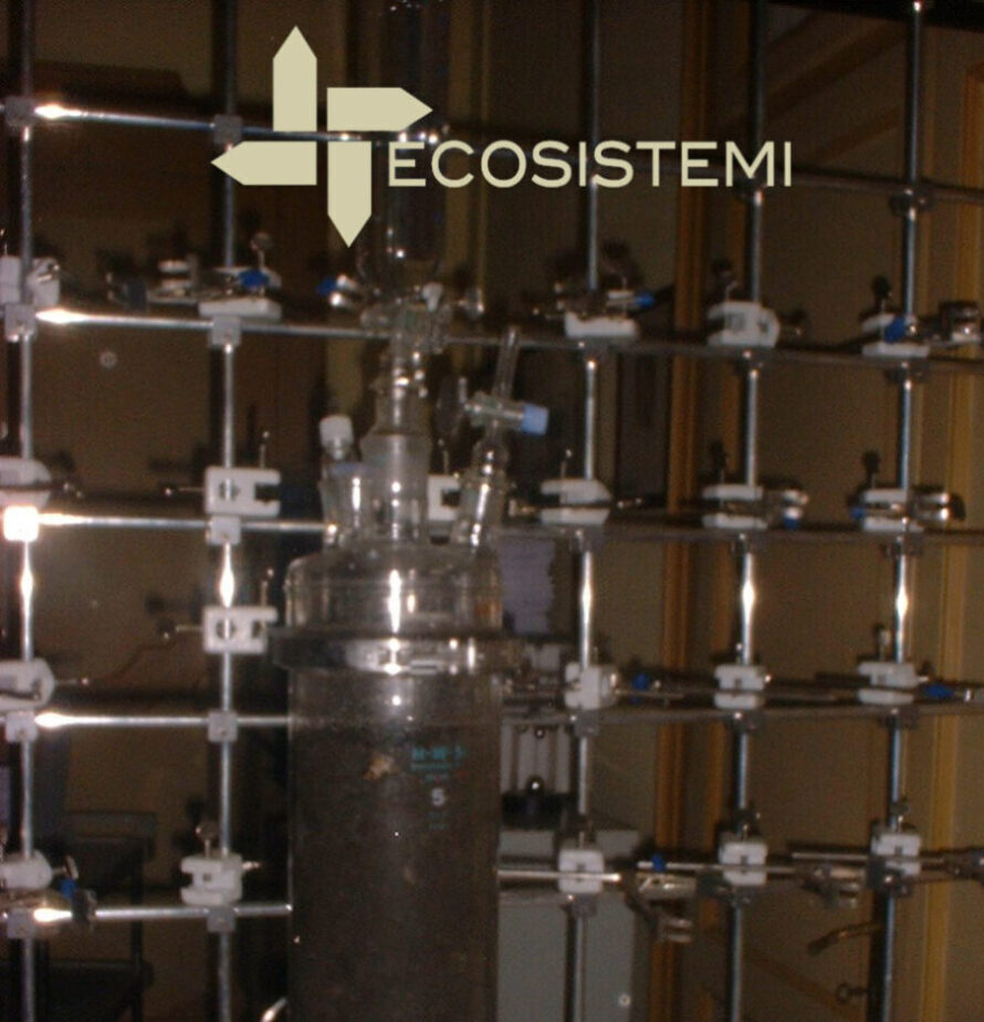 1 Reattore Laboratorio Analisi Ecosistemi e1744992384506 1 Reattore Laboratorio Analisi Ecosistemi ECOSISTEMI