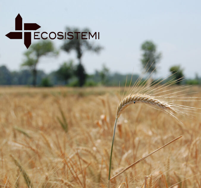 1 Ricostituzione suoli Ecosistemi Piacenza 1 e1745068749920 1 Ricostituzione suoli Ecosistemi Piacenza ECOSISTEMI