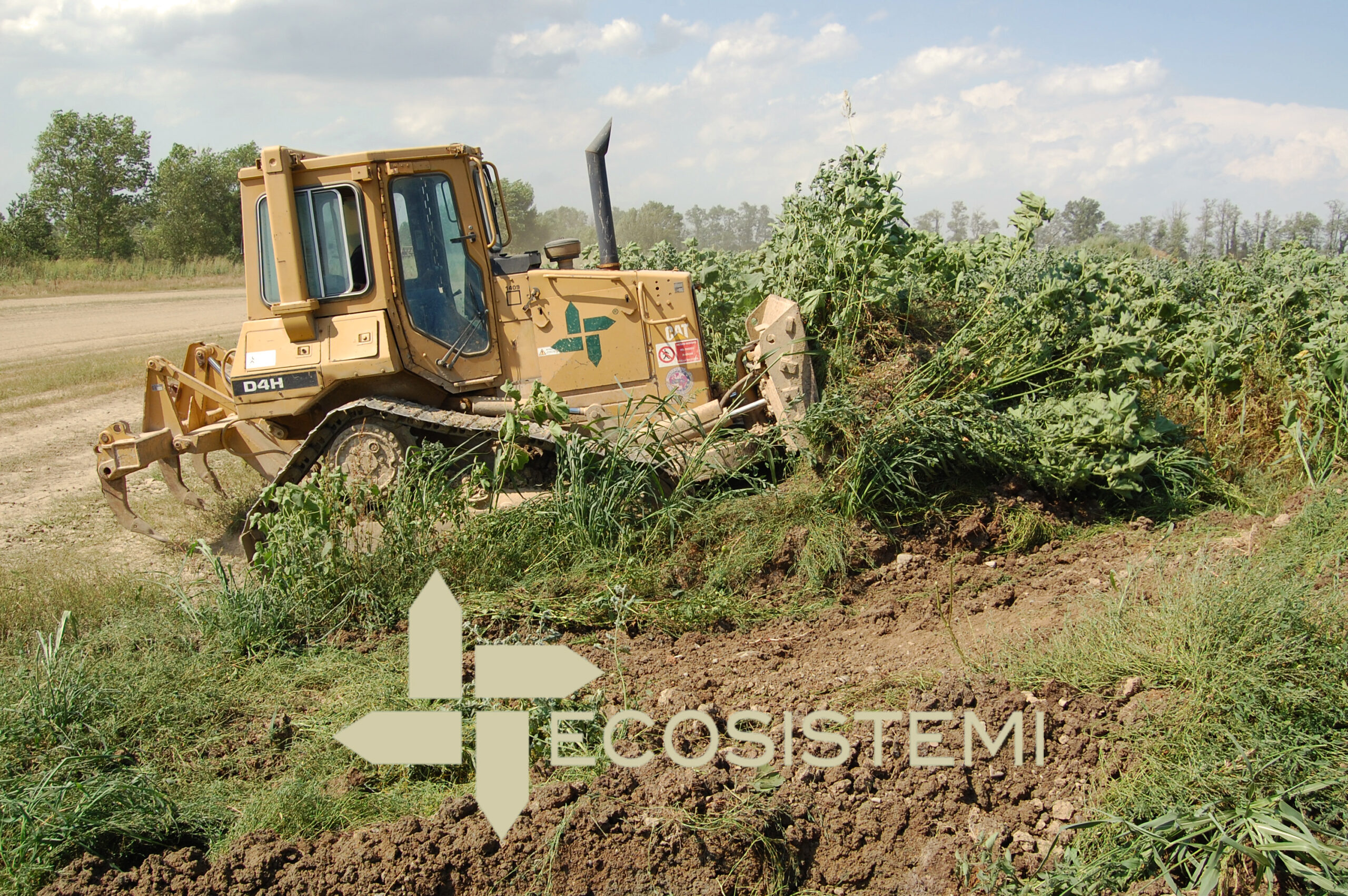1 Ripristini agronomici Ecosistemi Piacenza scaled 1 Ripristini agronomici Ecosistemi Piacenza IMPIANTO DI PRODUZIONE TERRE VEGETALI, AGRARIE, DA RIEMPIMENTO RICOSTITUITE 1 Ripristini agronomici Ecosistemi Piacenza scaled 1 Ripristini agronomici Ecosistemi Piacenza ECOSISTEMI