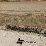 1 Suoli degradati Ecosistemi ricostituzione Piacenza RIPRISTINO AGRONOMICO DI UN SUOLO DEGRADATO A GOSSOLENGO (PC) ECOSISTEMI
