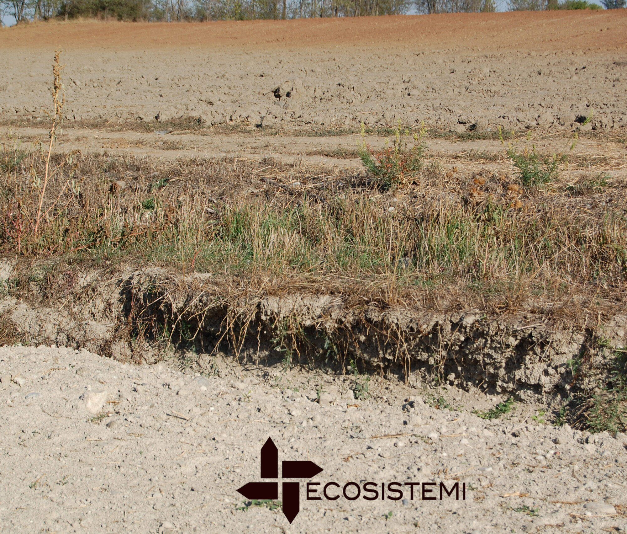 1 Suoli degradati Ecosistemi ricostituzione Piacenza scaled uai RIPRISTINO AGRONOMICO DI UN SUOLO DEGRADATO A GOSSOLENGO (PC) ECOSISTEMI