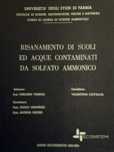 1 Tesi di laurea Ecosistemi Piacenza Universita di Parma DISCUSSIONE TESI DI LAUREA SUL RISANAMENTO DI SUOLI ED ACQUE CONTAMINATI DA SOLFATO AMMONICO ECOSISTEMI