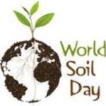 1 thumbnail (ALGHERO) WORLD SOIL DAY 2014 PARAMETRI CHIMICI E VEGETAZIONE SPONTANEA NEI SUOLI NATURALI E RICOSTITUITI ECOSISTEMI