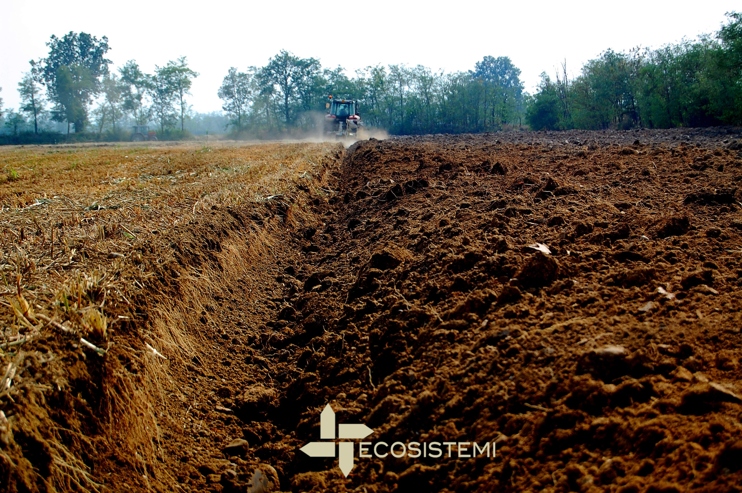 2 Arature su suoli ricostituiti Ecosistemi Piacenza scaled 2 Arature su suoli ricostituiti Ecosistemi Piacenza IL PRIMO CANTIERE DI RIPRISTINO AGRONOMICO: COMPLETATI DUE LOTTI DI RICOPERTURA 5 HA (50.000 mc) 2 Arature su suoli ricostituiti Ecosistemi Piacenza scaled 2 Arature su suoli ricostituiti Ecosistemi Piacenza ECOSISTEMI