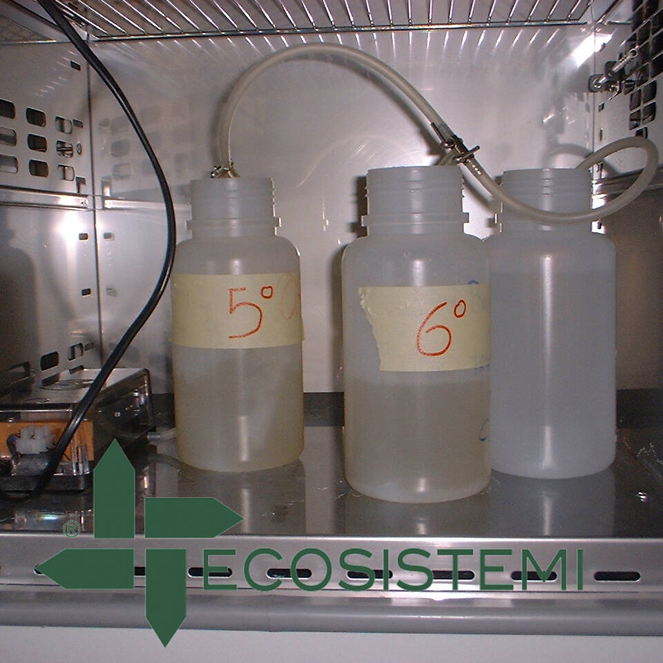2 Bonifica in situ laboratorio Ecosistemi Piacenza 1 uai TESI DI LAUREA SULLA BIORIMEDIAZIONE DI UN SITO CONTAMINATO IN PROVINCIA DI LODI ECOSISTEMI