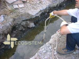 2 Controllo misurazioni Laboratorio Ecosistemi Piacenza DISCUSSIONE TESI DI LAUREA SUL RISANAMENTO DI SUOLI ED ACQUE CONTAMINATI DA SOLFATO AMMONICO ECOSISTEMI