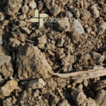 2 Suoli originari area Ecosistemi AVVIO DEL PRIMO INTERVENTO DI RICOSTITUZIONE DI SUOLI AGRICOLI DEGRADATI ECOSISTEMI