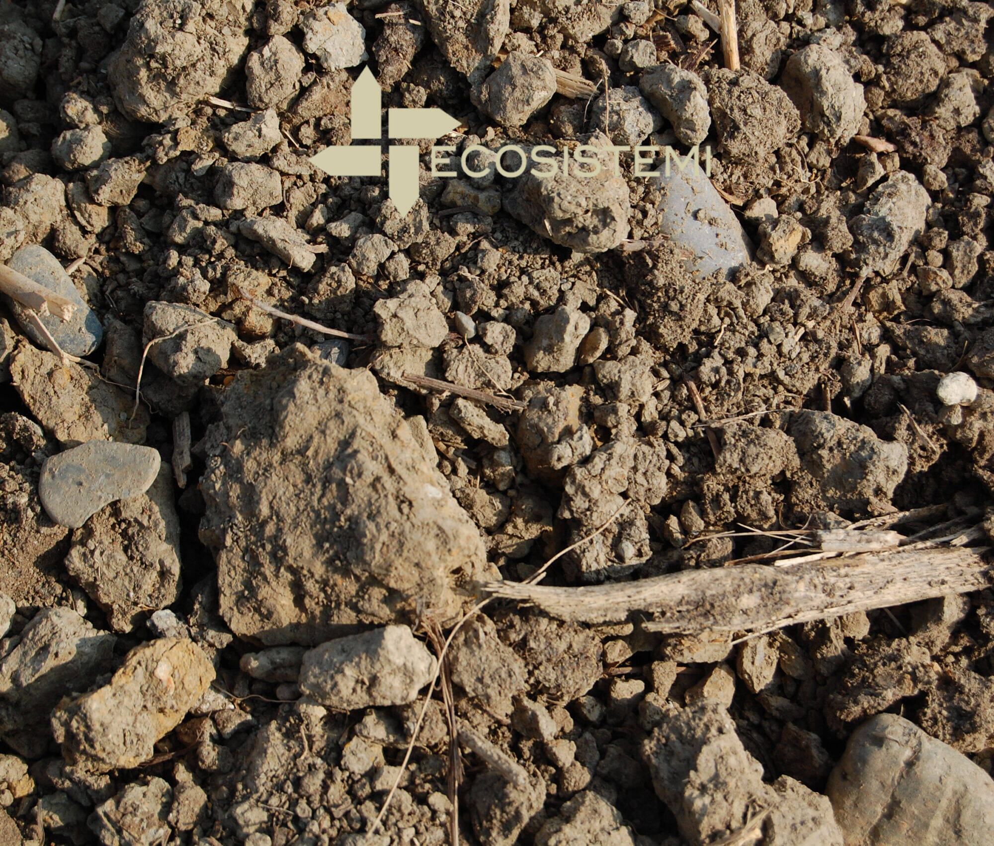 2 Suoli originari area Ecosistemi scaled uai AVVIO DEL PRIMO INTERVENTO DI RICOSTITUZIONE DI SUOLI AGRICOLI DEGRADATI ECOSISTEMI