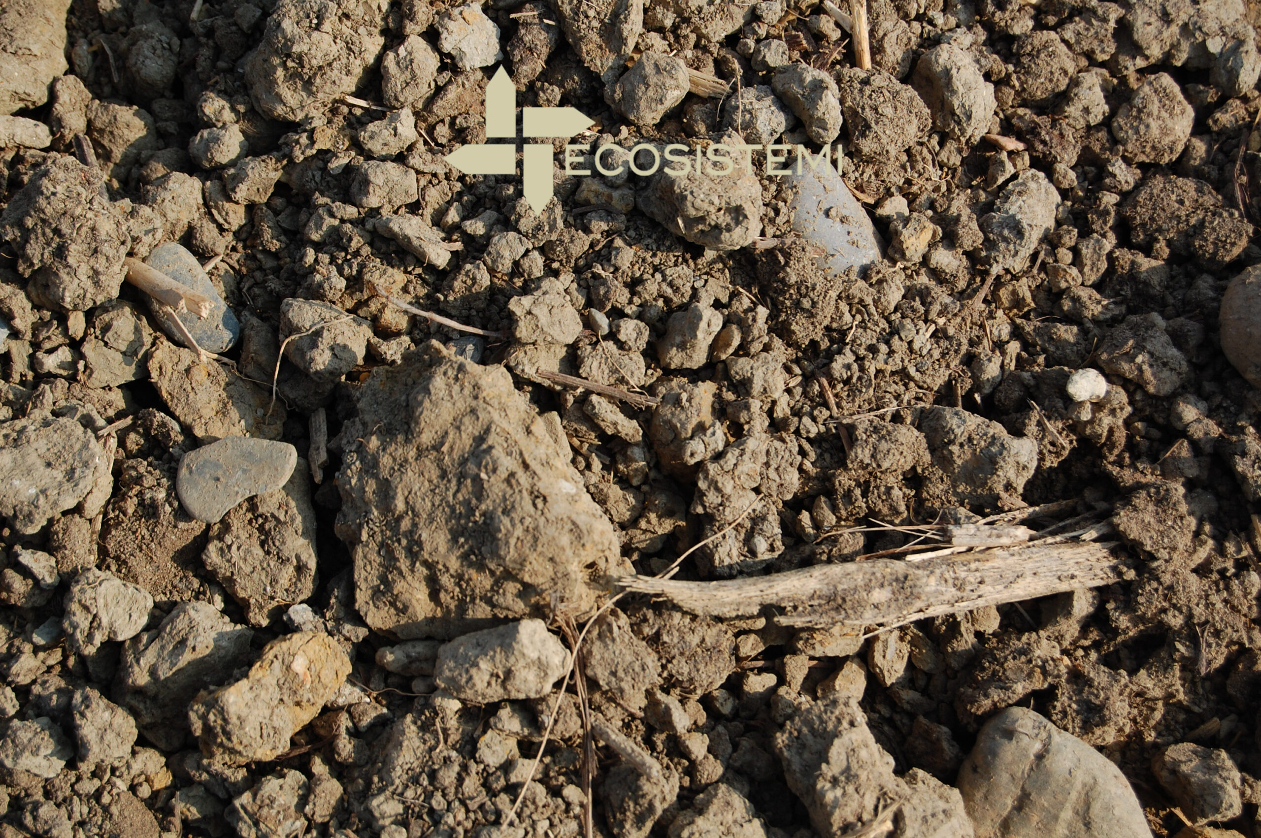 2 Suoli originari area Ecosistemi scaled 2 Suoli originari area Ecosistemi AVVIO DEL PRIMO INTERVENTO DI RICOSTITUZIONE DI SUOLI AGRICOLI DEGRADATI 2 Suoli originari area Ecosistemi scaled 2 Suoli originari area Ecosistemi ECOSISTEMI