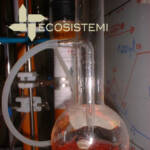 4 Laboratorio Ecosistemi Piacenza impianto pilota e1744993573912 DISCUSSIONE TESI DI LAUREA SUL RISANAMENTO DI SUOLI ED ACQUE CONTAMINATI DA SOLFATO AMMONICO ECOSISTEMI